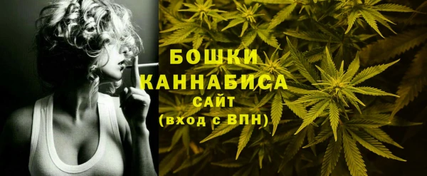 индика Балахна